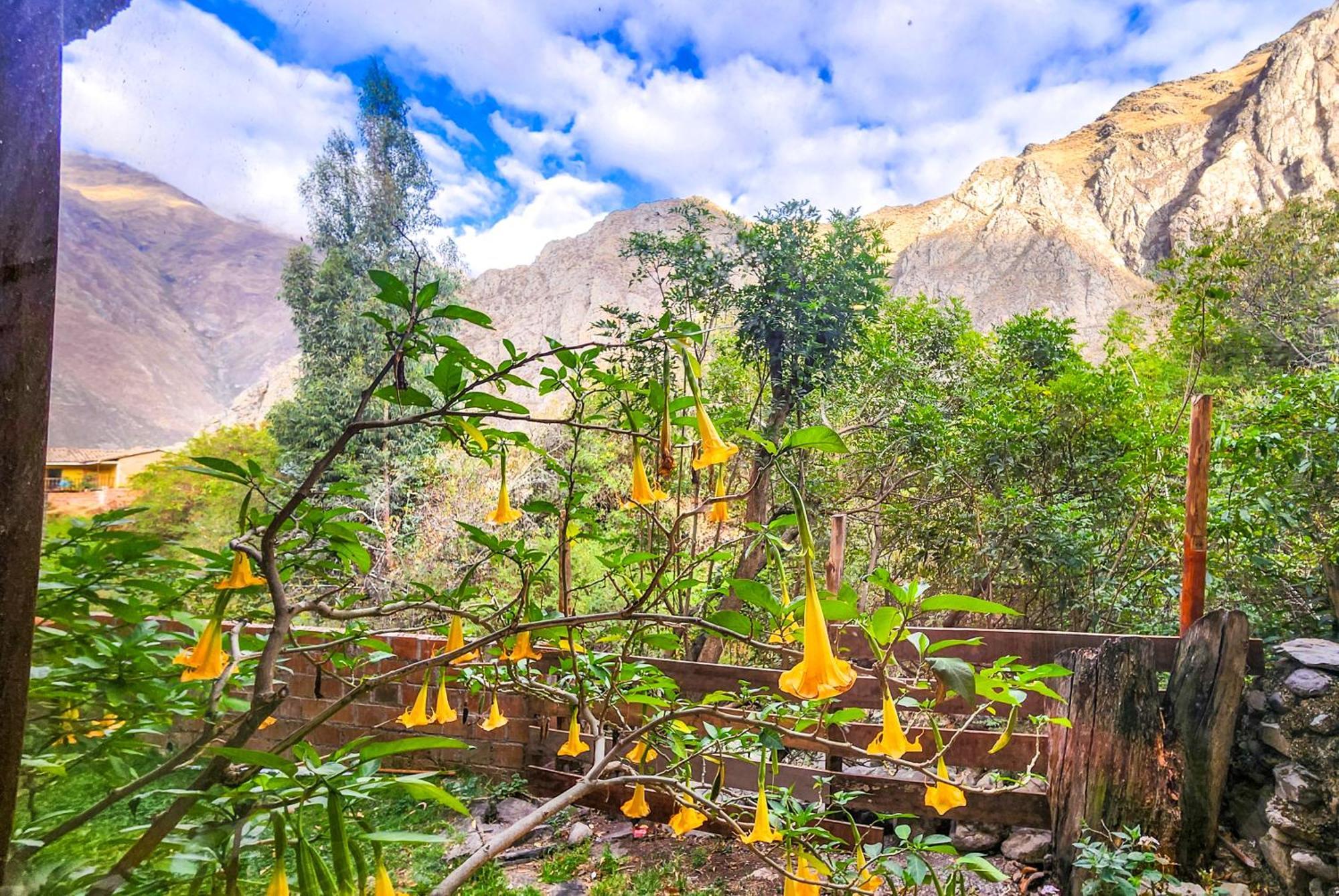 Peru Quechua'S Lodge Ольянтайтамбо Екстер'єр фото
